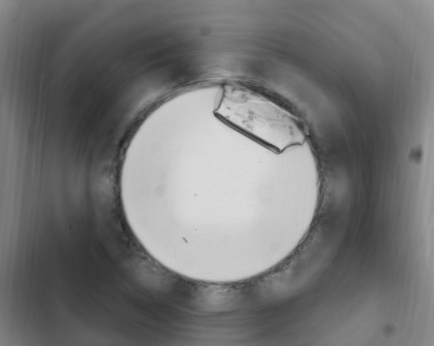 X0000103231314200808280940