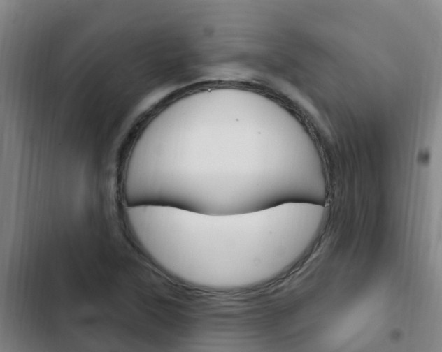 X0000103231315200808280940