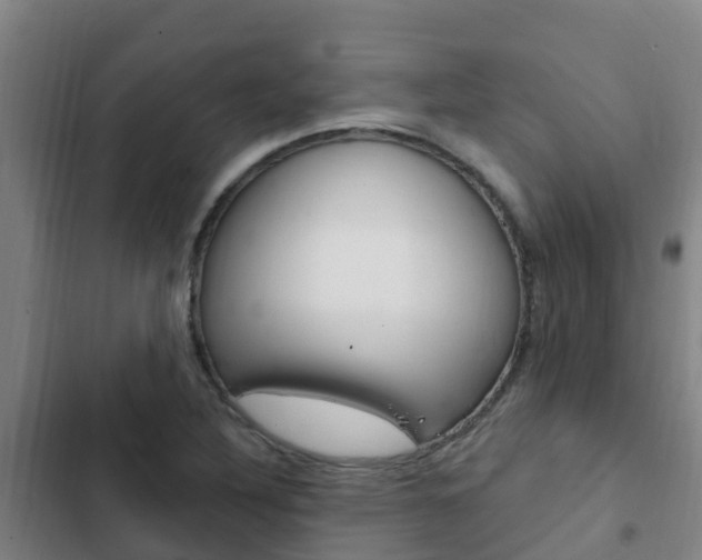 X0000103231316200808280940