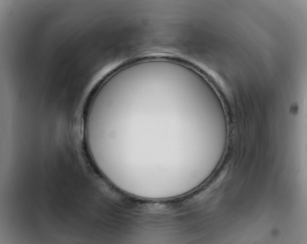 X0000103231317200808280940