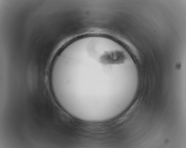 X0000103231318200808280940