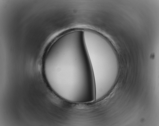X0000103231319200808280940