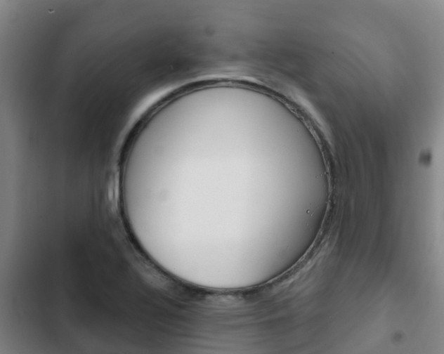X0000103231320200808280940