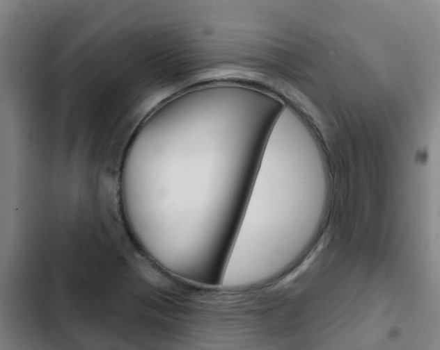 X0000103231321200808280940