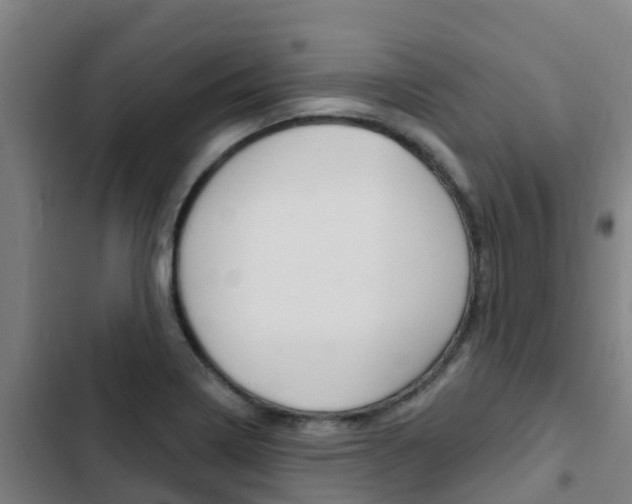 X0000103231322200808280940