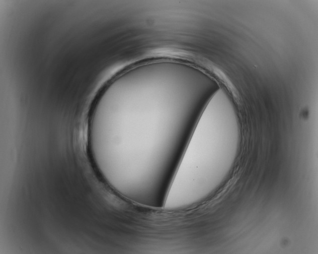 X0000103231323200808280940