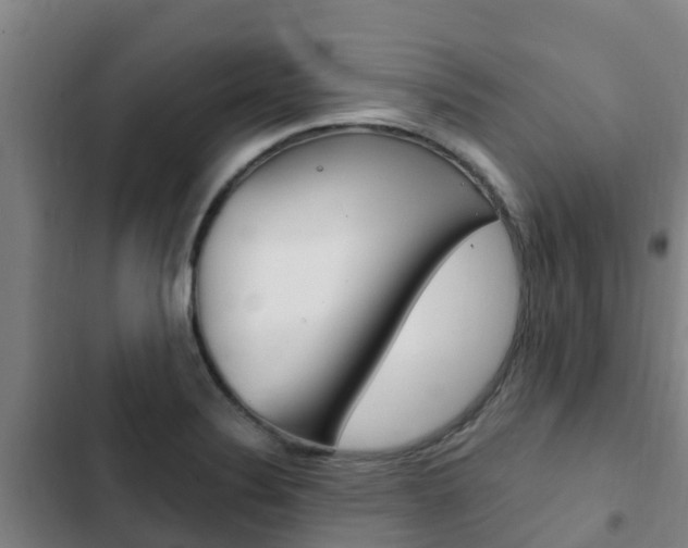 X0000103231324200808280940