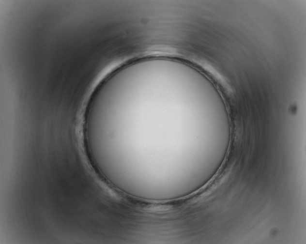 X0000103231325200808280940