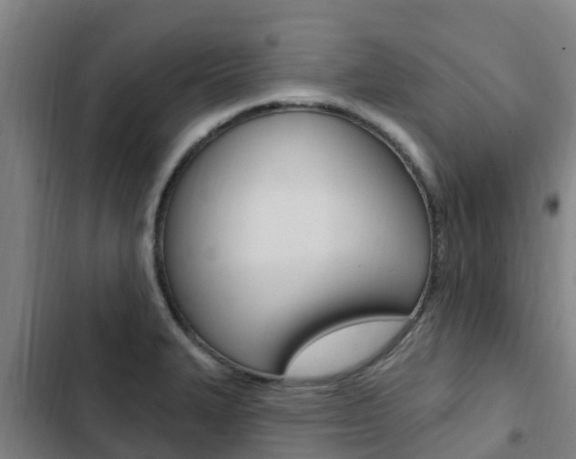 X0000103231327200808280940