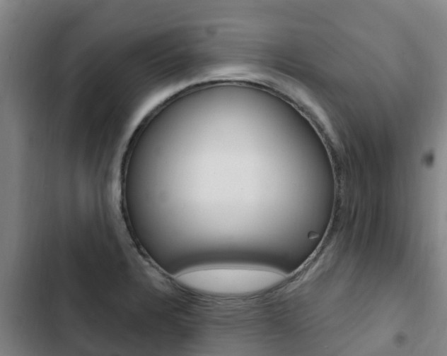 X0000103231328200808280940