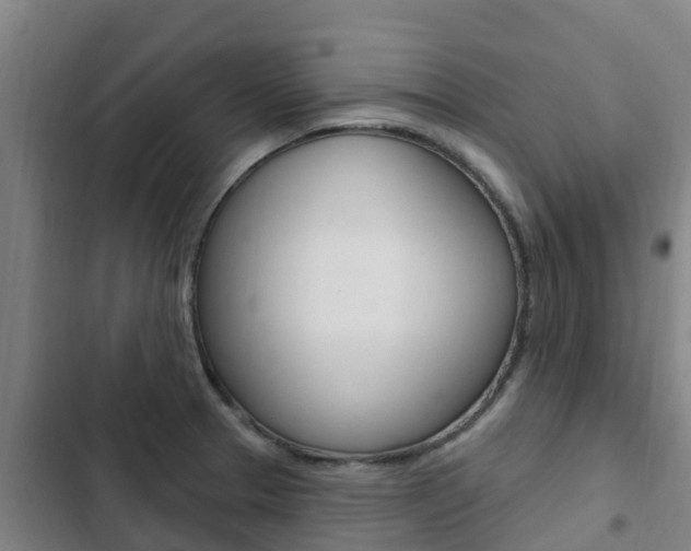 X0000103231329200808280940