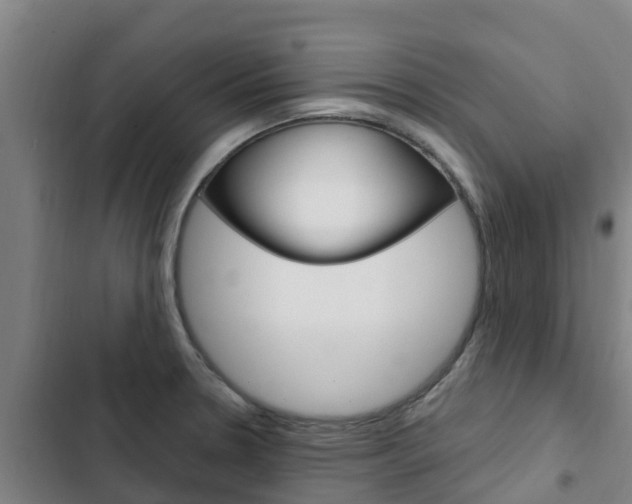 X0000103231330200808280940