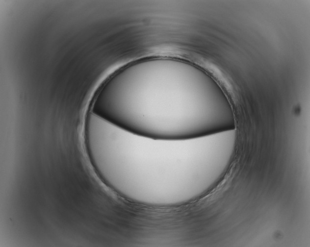X0000103231331200808280940
