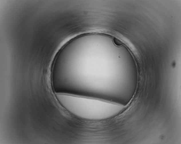 X0000103231332200808280940