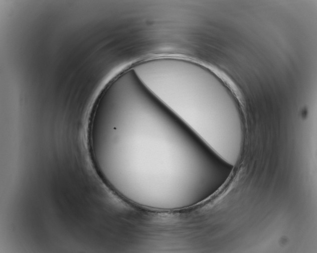 X0000103231333200808280940