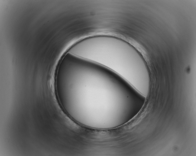 X0000103231334200808280940