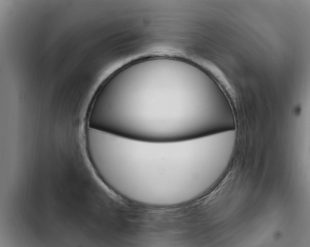 X0000103231335200808280941