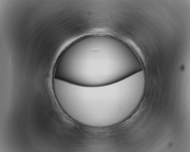 X0000103231336200808280941