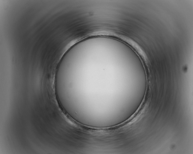 X0000103231337200808280941