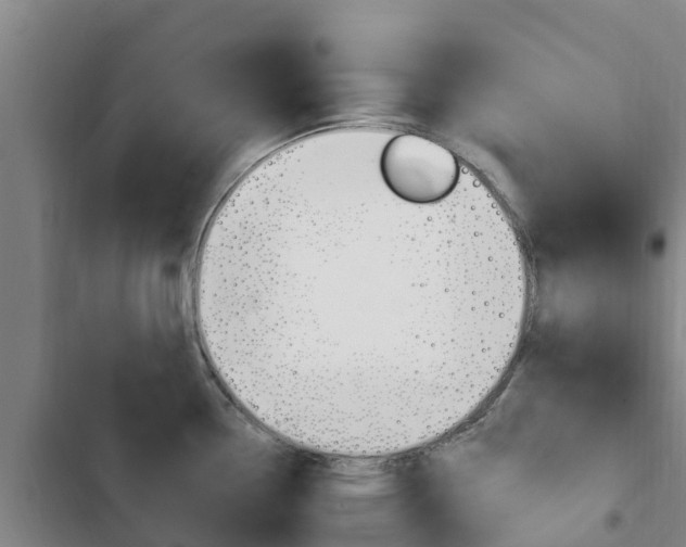 X0000103231338200808280941