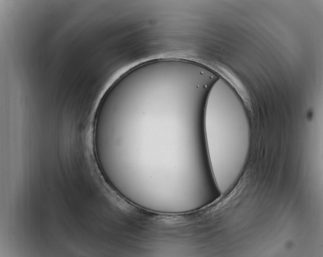 X0000103231340200808280941