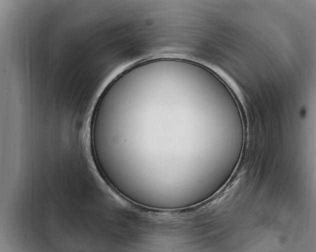 X0000103231341200808280941