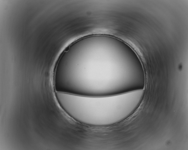 X0000103231342200808280941
