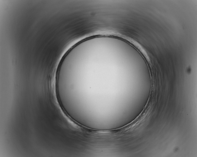 X0000103231343200808280941