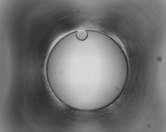 X0000103231344200808280941