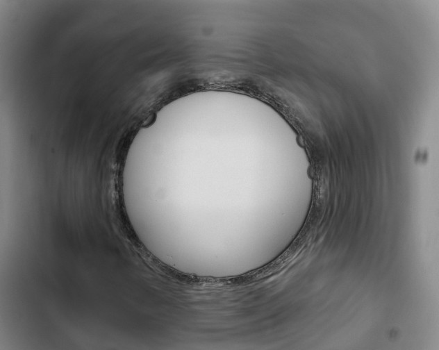 X0000103231346200808280940