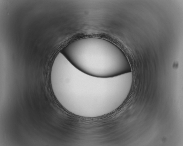 X0000103231348200808280940