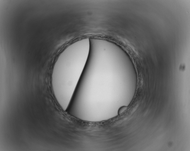 X0000103231350200808280940