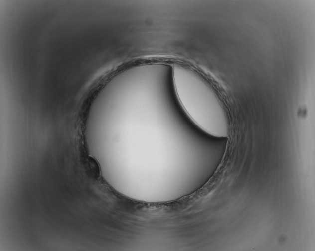 X0000103231351200808280940