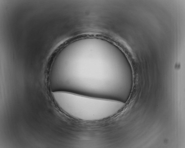 X0000103231352200808280940
