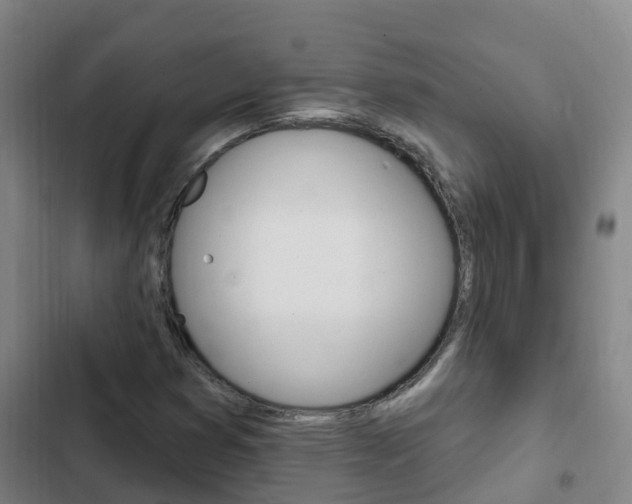X0000103231353200808280940