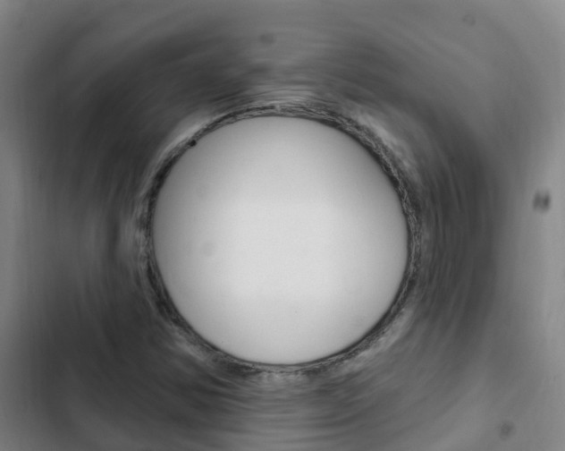 X0000103231354200808280940