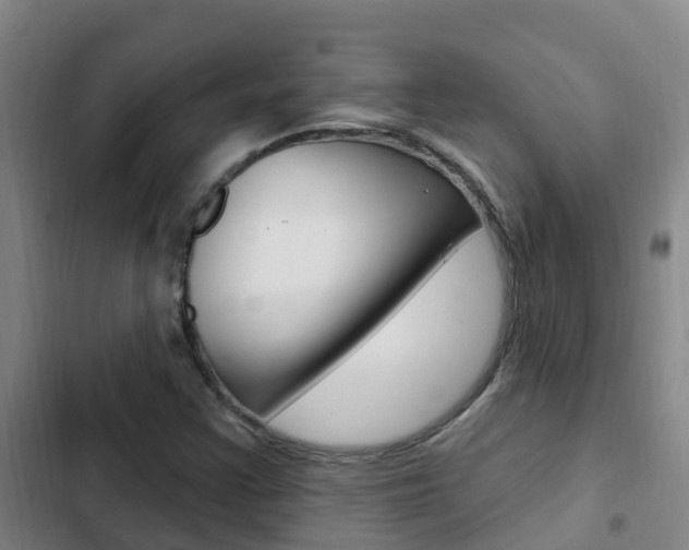 X0000103231355200808280940