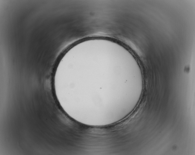 X0000103231356200808280940