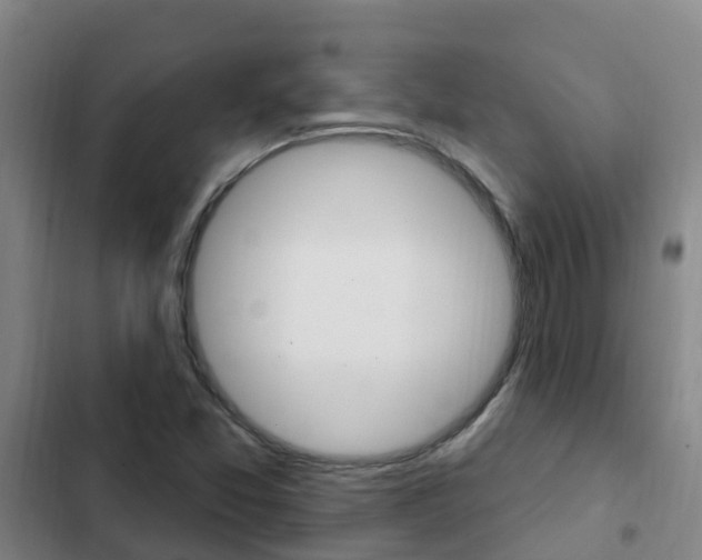 X0000103231357200808280940