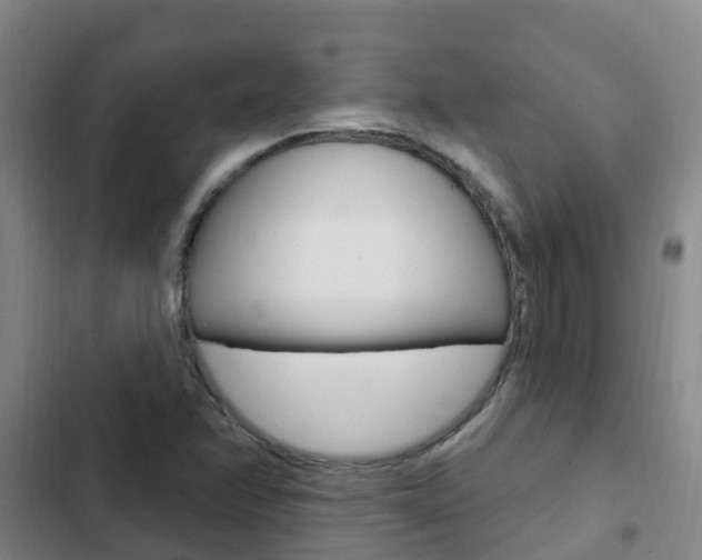 X0000103231358200808280940