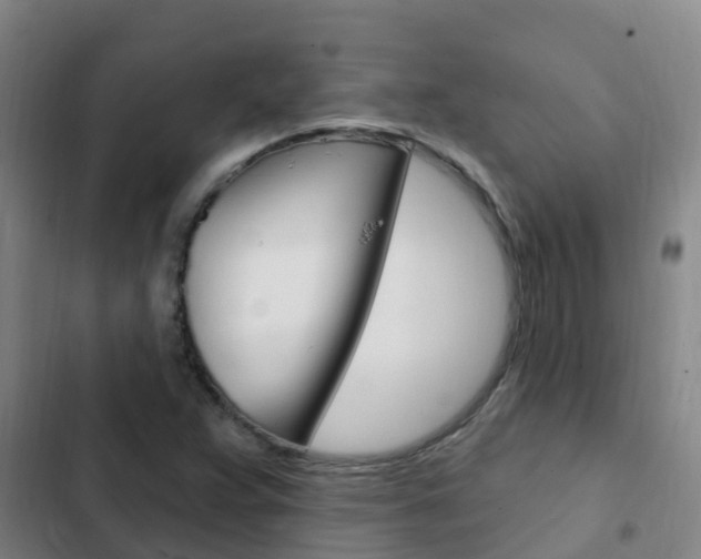 X0000103231359200808280940