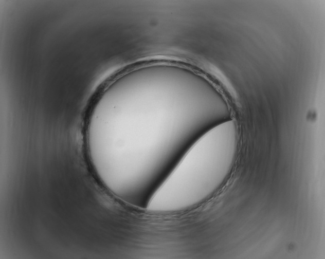 X0000103231360200808280940