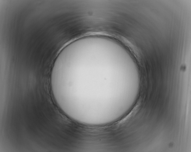 X0000103231361200808280940