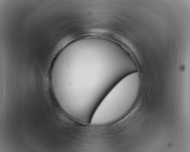 X0000103231362200808280940