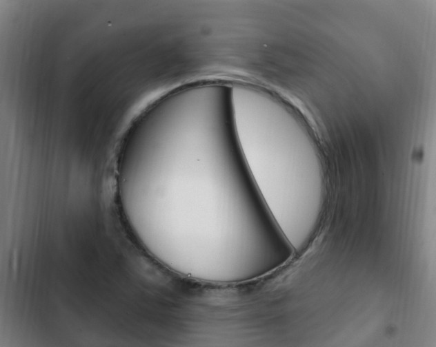 X0000103231363200808280940