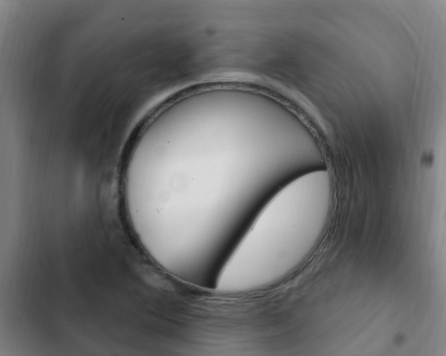 X0000103231364200808280940