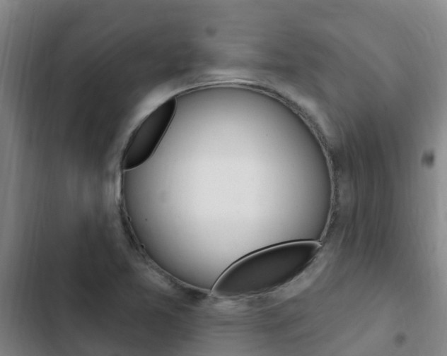 X0000103231365200808280940