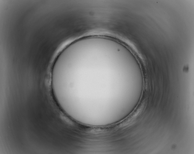 X0000103231366200808280940