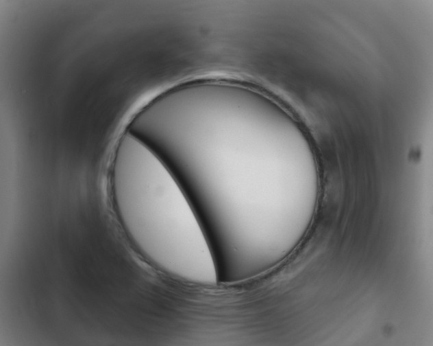 X0000103231367200808280939