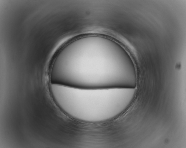 X0000103231368200808280939